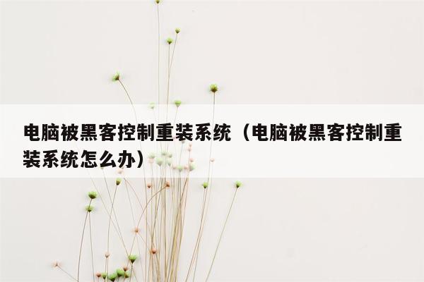 电脑被黑客控制重装系统（电脑被黑客控制重装系统怎么办）