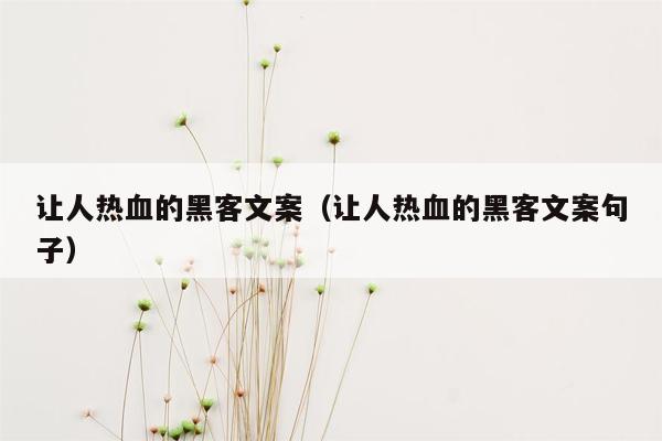 让人热血的黑客文案（让人热血的黑客文案句子）