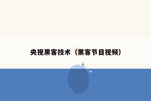 央视黑客技术（黑客节目视频）