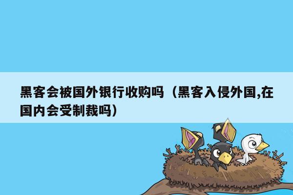 黑客会被国外银行收购吗（黑客入侵外国,在国内会受制裁吗）