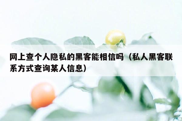 网上查个人隐私的黑客能相信吗（私人黑客联系方式查询某人信息）