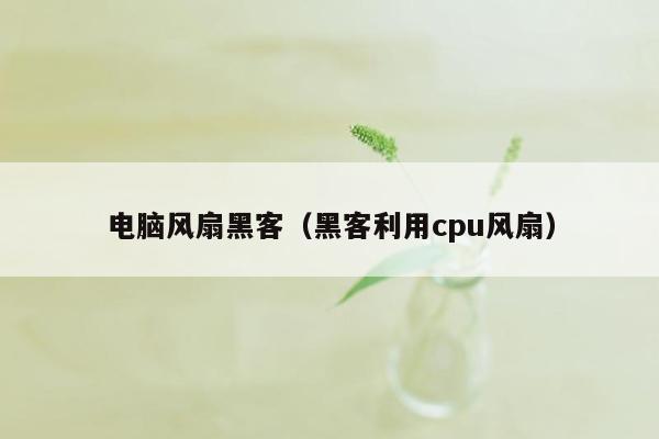 电脑风扇黑客（黑客利用cpu风扇）