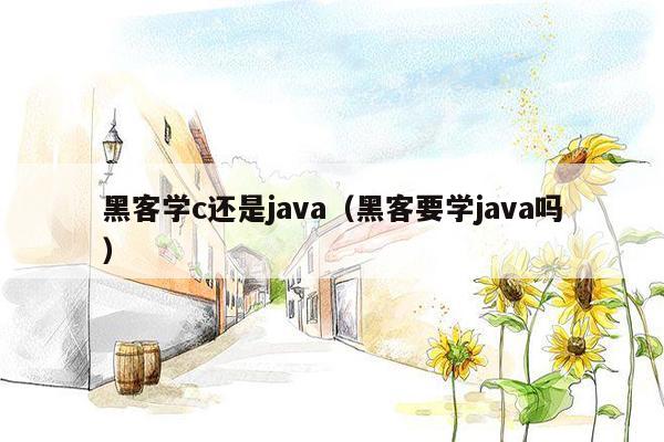 黑客学c还是java（黑客要学java吗）