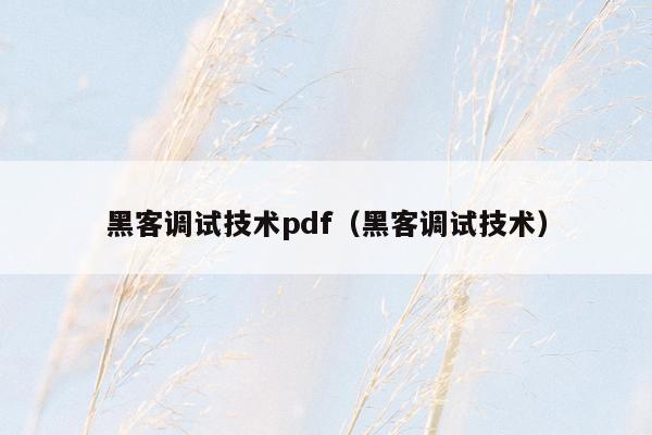 黑客调试技术pdf（黑客调试技术）