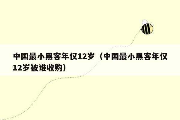 中国最小黑客年仅12岁（中国最小黑客年仅12岁被谁收购）