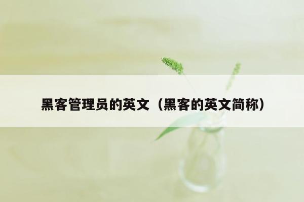 黑客管理员的英文（黑客的英文简称）