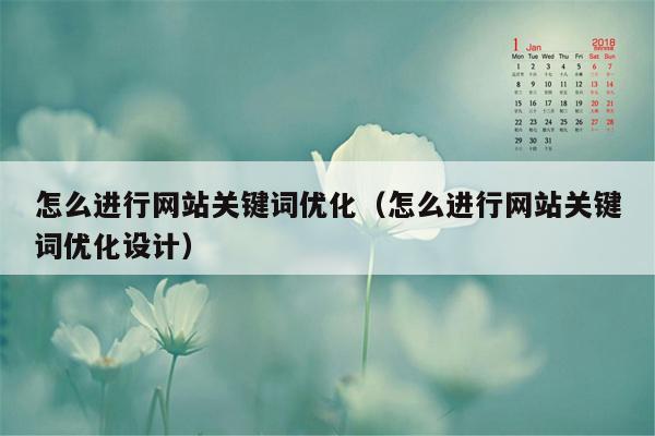 怎么进行网站关键词优化（怎么进行网站关键词优化设计）