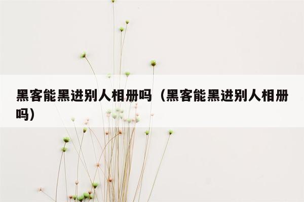 黑客能黑进别人相册吗（黑客能黑进别人相册吗）