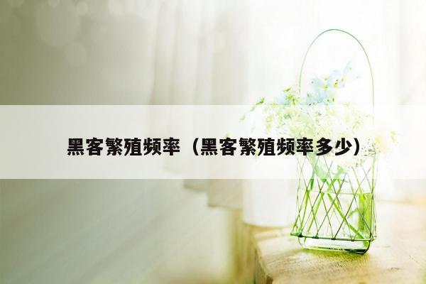 黑客繁殖频率（黑客繁殖频率多少）