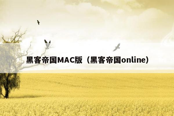 黑客帝国MAC版（黑客帝国online）