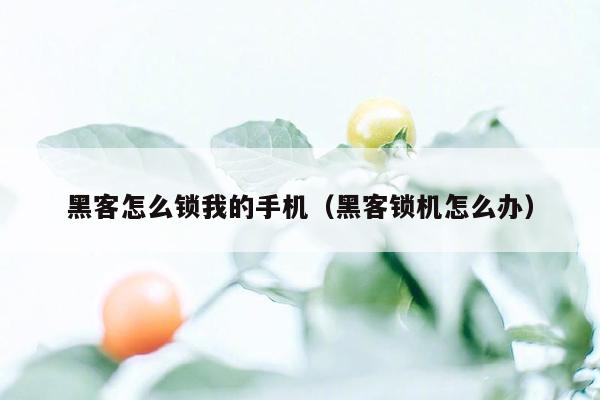 黑客怎么锁我的手机（黑客锁机怎么办）