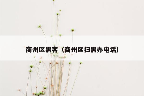 商州区黑客（商州区扫黑办电话）