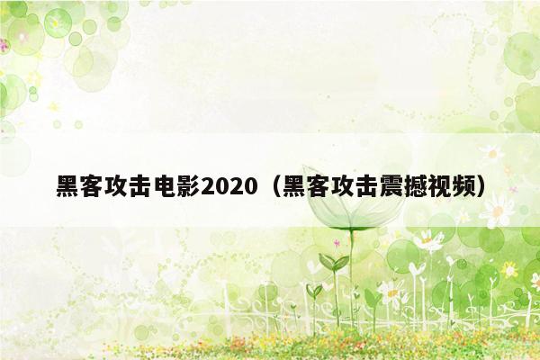 黑客攻击电影2020（黑客攻击震撼视频）