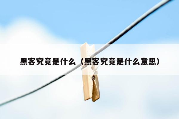 黑客究竟是什么（黑客究竟是什么意思）