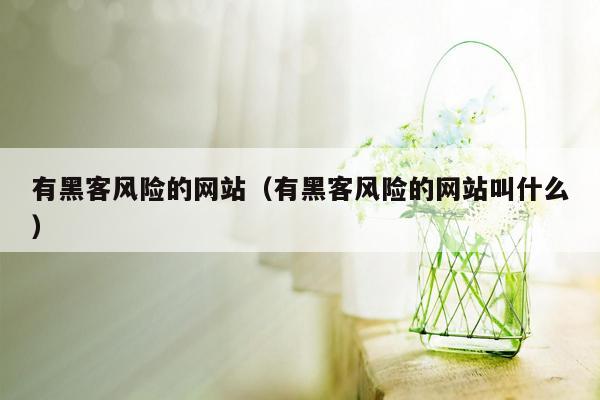有黑客风险的网站（有黑客风险的网站叫什么）