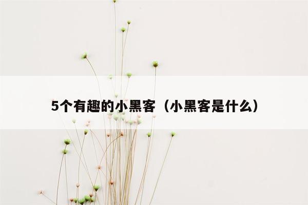 5个有趣的小黑客（小黑客是什么）