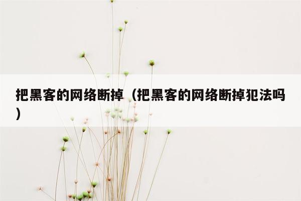 把黑客的网络断掉（把黑客的网络断掉犯法吗）