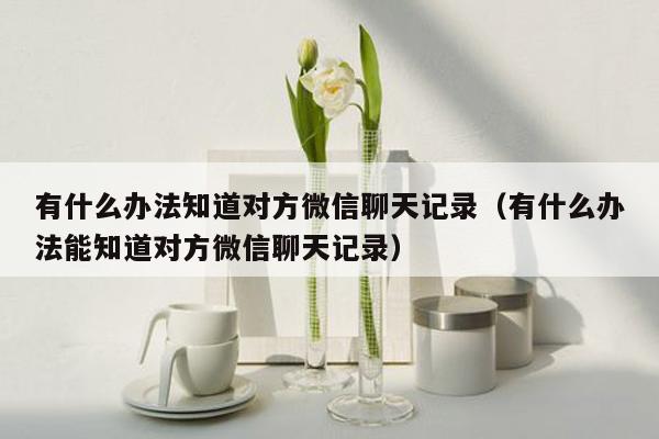 有什么办法知道对方微信聊天记录（有什么办法能知道对方微信聊天记录）