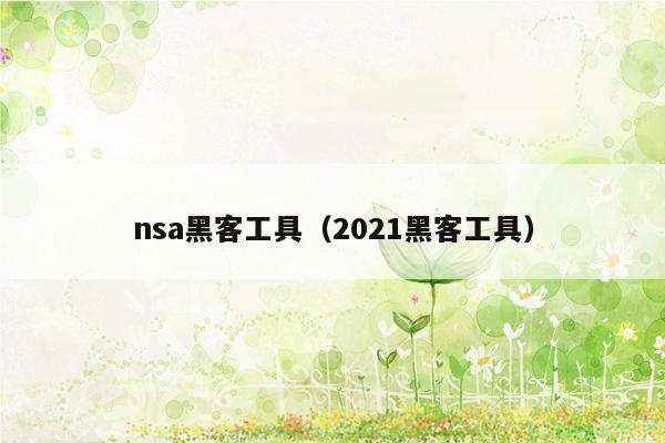 nsa黑客工具（2021黑客工具）