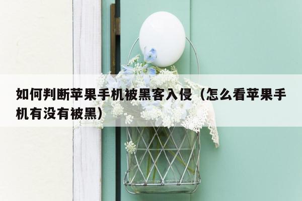 如何判断苹果手机被黑客入侵（怎么看苹果手机有没有被黑）