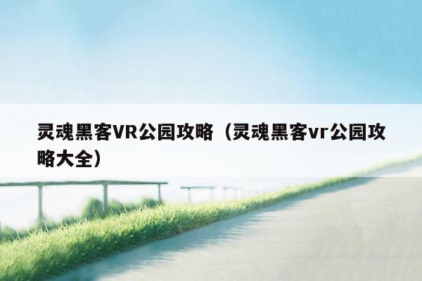 灵魂黑客VR公园攻略（灵魂黑客vr公园攻略大全）