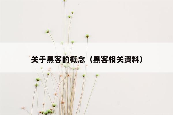 关于黑客的概念（黑客相关资料）