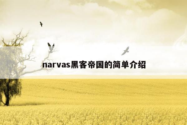 narvas黑客帝国的简单介绍