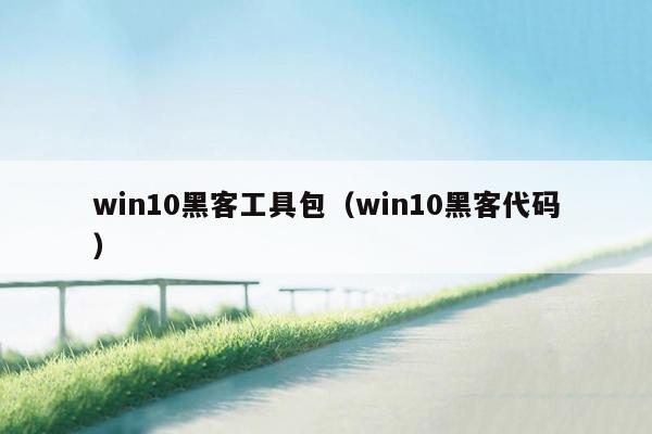 win10黑客工具包（win10黑客代码）