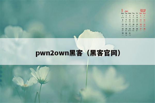 pwn2own黑客（黑客官网）