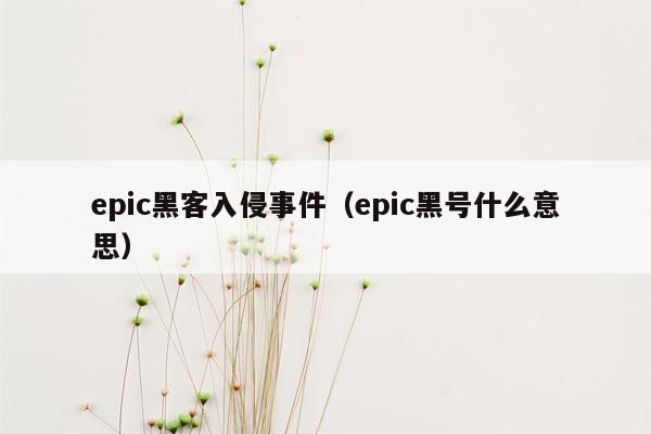 epic黑客入侵事件（epic黑号什么意思）