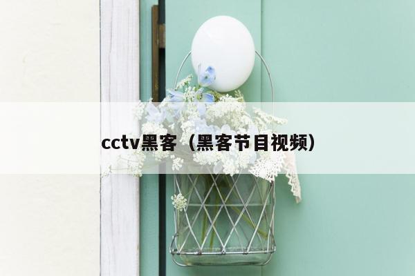 cctv黑客（黑客节目视频）