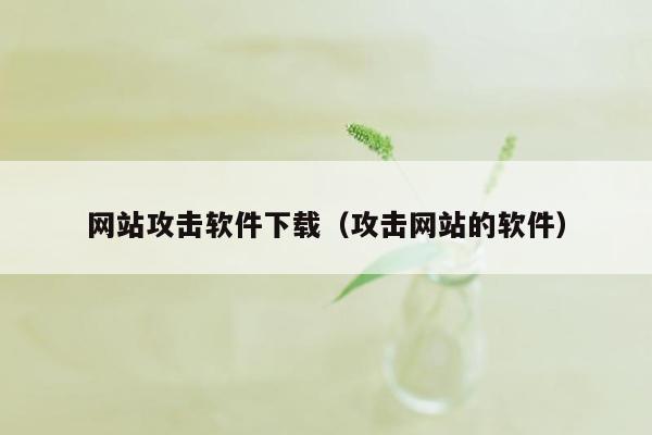 网站攻击软件下载（攻击网站的软件）