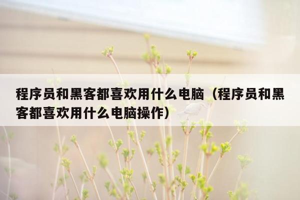 程序员和黑客都喜欢用什么电脑（程序员和黑客都喜欢用什么电脑操作）