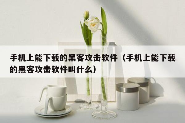 手机上能下载的黑客攻击软件（手机上能下载的黑客攻击软件叫什么）