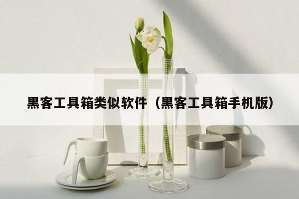 黑客工具箱类似软件（黑客工具箱手机版）