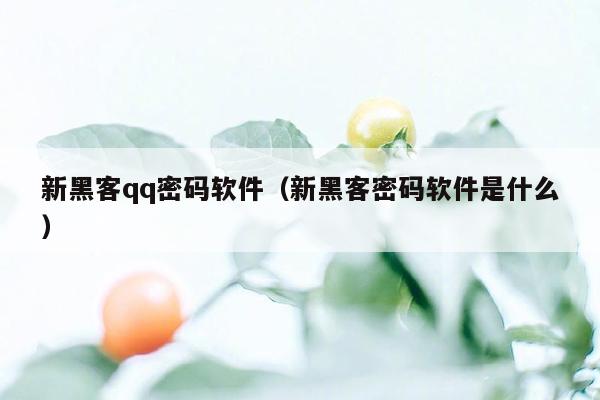 新黑客qq密码软件（新黑客密码软件是什么）