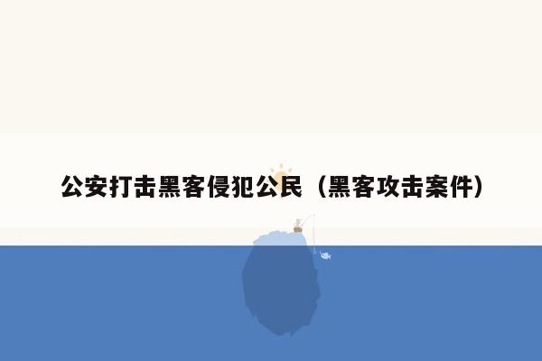 公安打击黑客侵犯公民（黑客攻击案件）