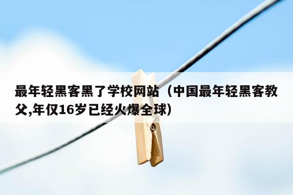 最年轻黑客黑了学校网站（中国最年轻黑客教父,年仅16岁已经火爆全球）