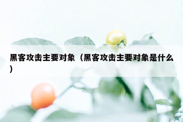 黑客攻击主要对象（黑客攻击主要对象是什么）