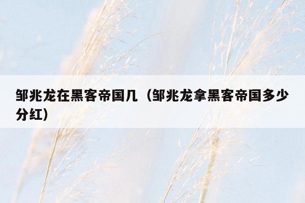 邹兆龙在黑客帝国几（邹兆龙拿黑客帝国多少分红）