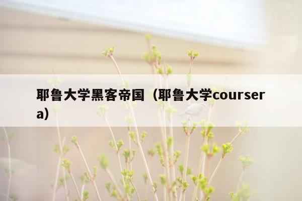 耶鲁大学黑客帝国（耶鲁大学coursera）