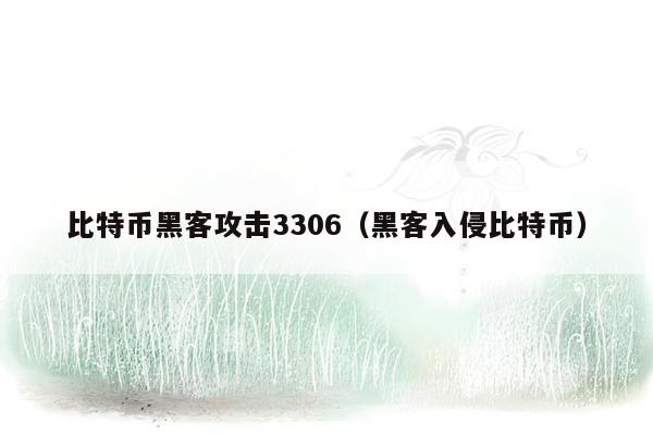 比特币黑客攻击3306（黑客入侵比特币）