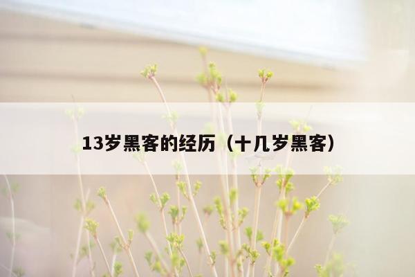 13岁黑客的经历（十几岁黑客）