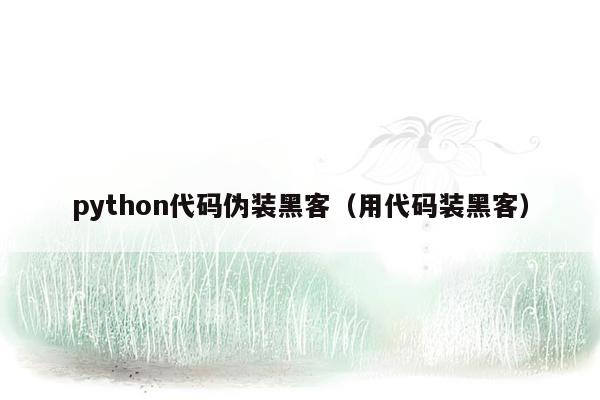 python代码伪装黑客（用代码装黑客）