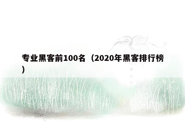 专业黑客前100名（2020年黑客排行榜）