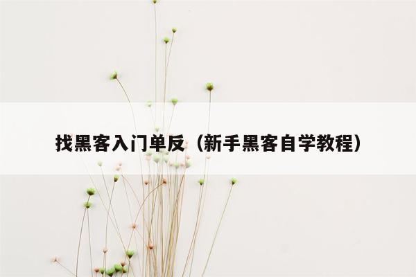 找黑客入门单反（新手黑客自学教程）