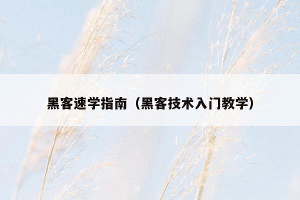 黑客速学指南（黑客技术入门教学）