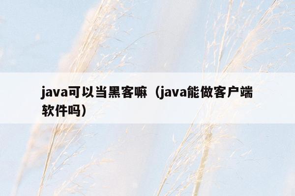 java可以当黑客嘛（java能做客户端软件吗）