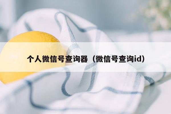 个人微信号查询器（微信号查询id）