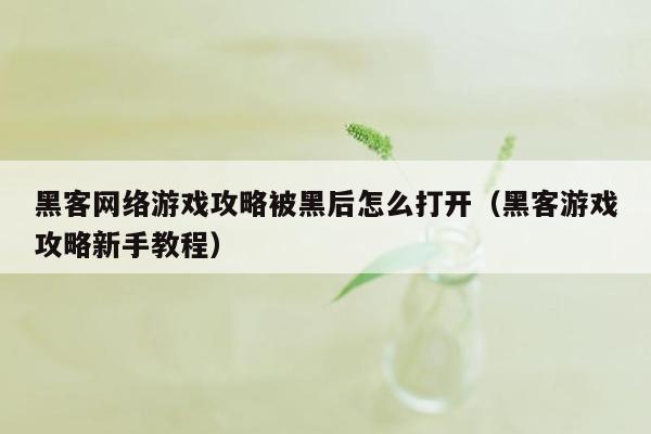 黑客网络游戏攻略被黑后怎么打开（黑客游戏攻略新手教程）